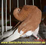 00 12 IMG_6826.jpg (93014 Byte)