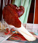 00 12 IMG_6855.jpg (91693 Byte)