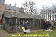00 12 IMG_6866.jpg (199732 Byte)