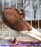 00 12 IMG_6898.jpg (93885 Byte)