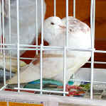 00 12 IMG_6913.jpg (93303 Byte)