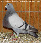 00 13 DSCI5072.jpg (133372 Byte)