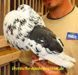 00 IMG_9211.jpg (104108 Byte)