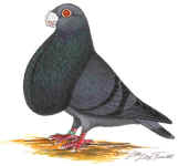 wpeB.jpg (21395 Byte)
