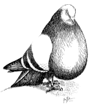 wpe1E.gif (47819 Byte)