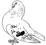 wpe25.gif (29352 Byte)
