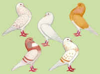 gelderseslenk027.jpg (21835 Byte)